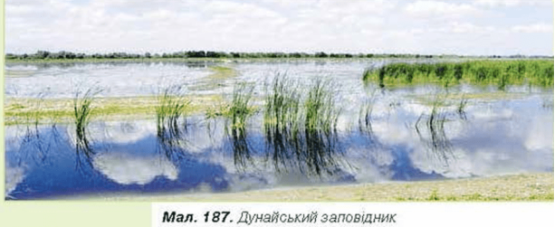 http://narodna-osvita.com.ua/uploads/5_kl_yarosh/pryrod-184.png